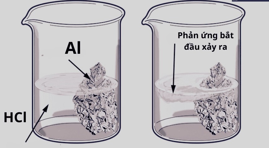 Tính chất hóa học của kim loại​